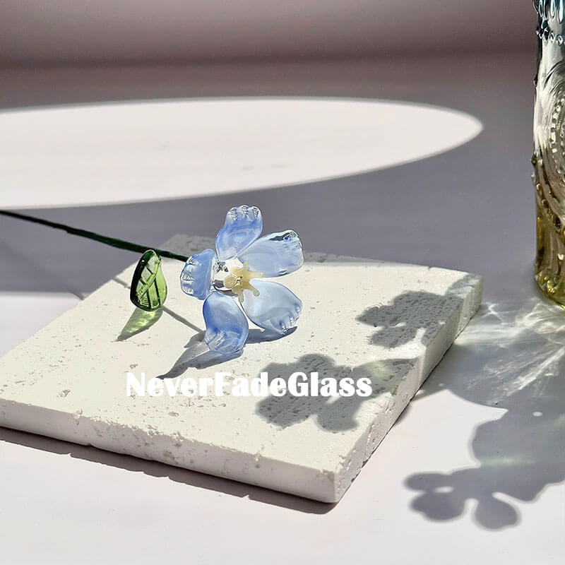 glass plants
