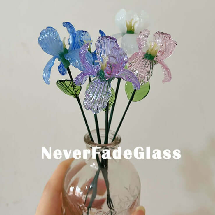 Glass Iris - February Birth Flower