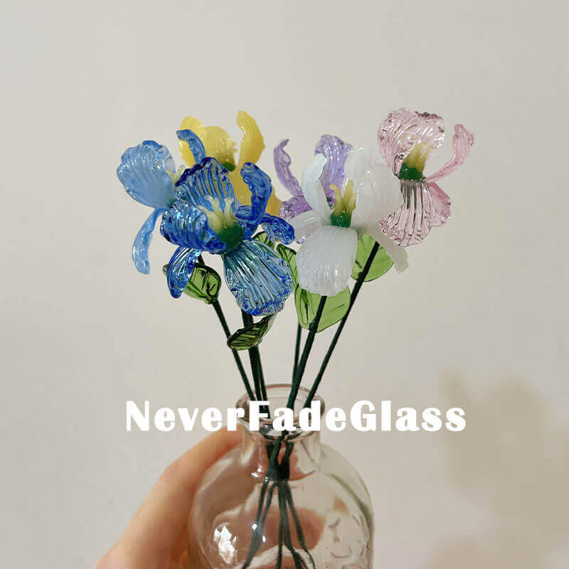 Glass Iris - February Birth Flower