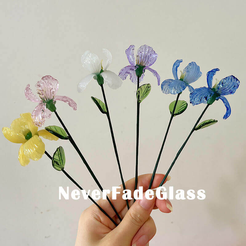 Glass Iris - February Birth Flower