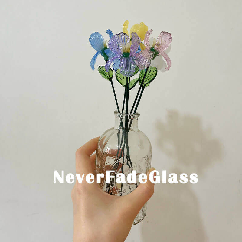 Glass Iris - February Birth Flower