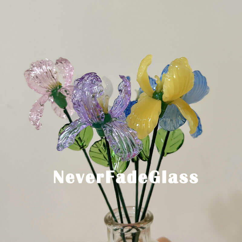 Glass Iris - February Birth Flower