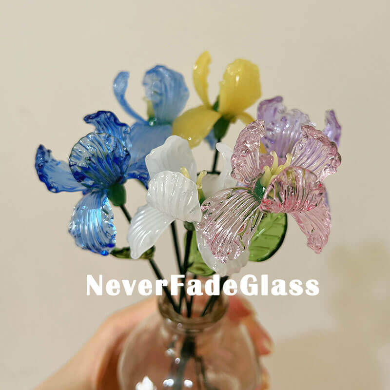 Glass Iris - February Birth Flower
