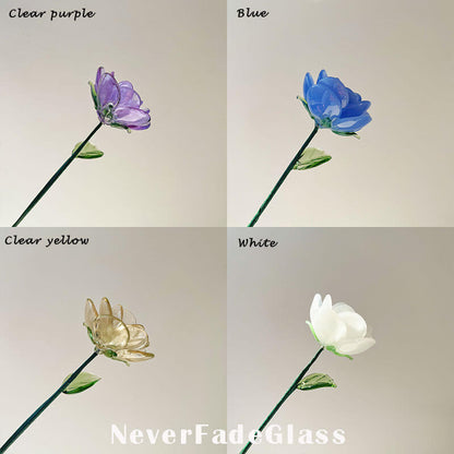 rose in glass
